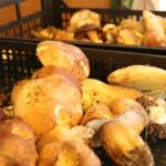 Stand gastronomico Porcini - Sagra del Fungo Porcino Castelpagano