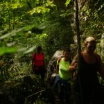 Trekking - Sagra del Fungo Porcino Castelpagano